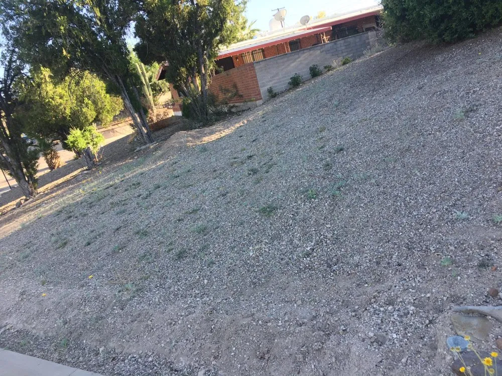 Expert residential landscaping in Tucson, AZ by Molina’s Landscape & more