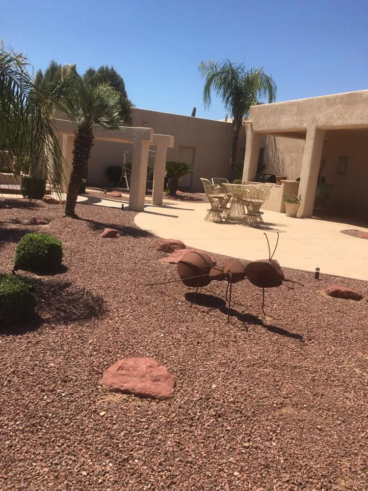 Top-rated yard cleanup service near you in Tucson, AZ by Molina’s Landscape & more
