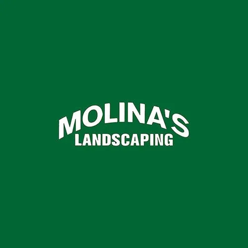 Top-rated yard cleanup service for beautiful yards across Brunswick, GA - Molina's Landscaping