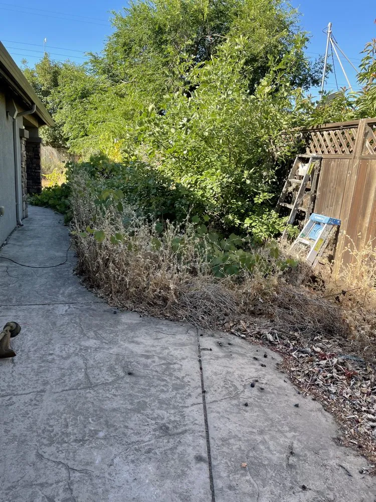 Trusted outdoor landscaping experts serving Suisun City, CA - Molina's Landscaping