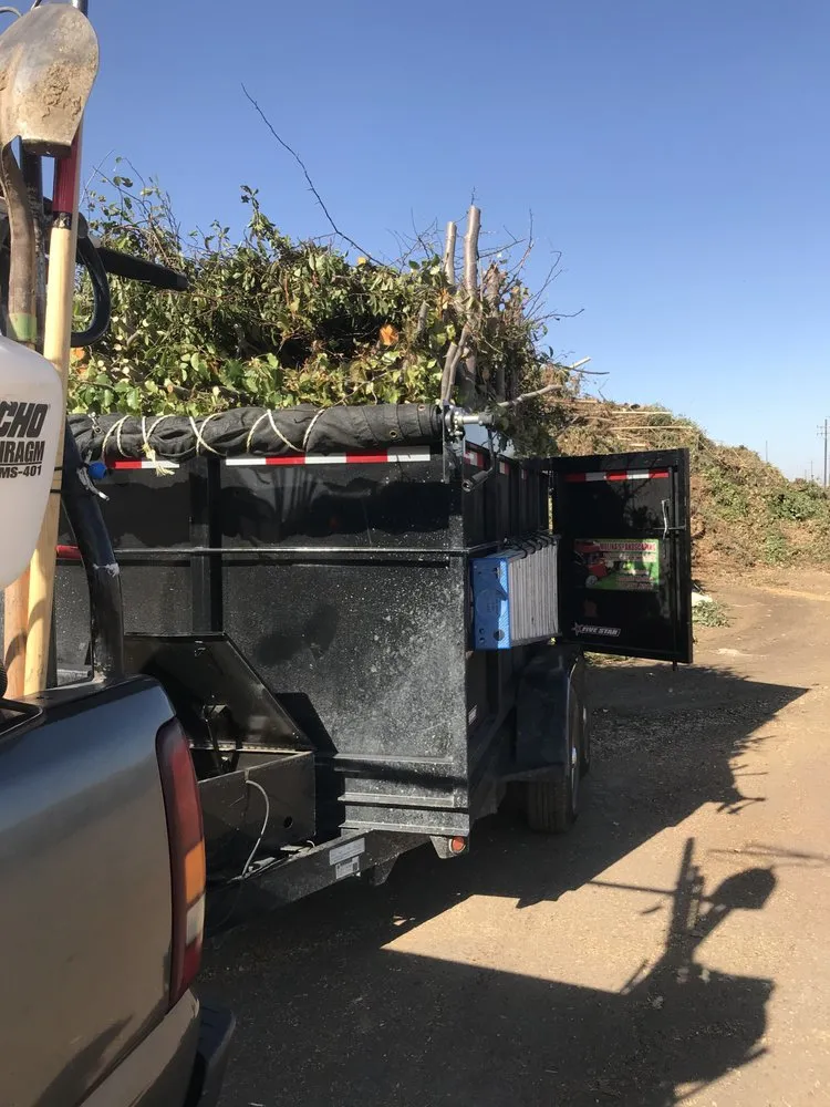 Top-rated garden landscaping experts serving Suisun City, CA - Molina's Landscaping