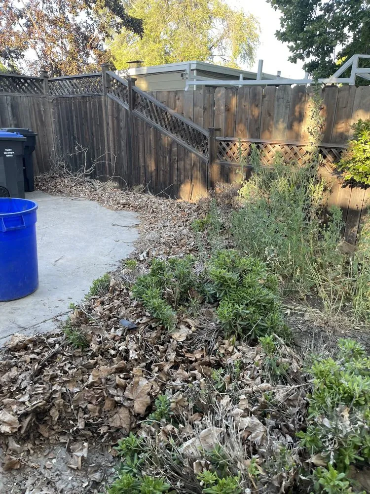 Trusted lawn care service for outdoor upgrades in Suisun City, CA by Molina's Landscaping