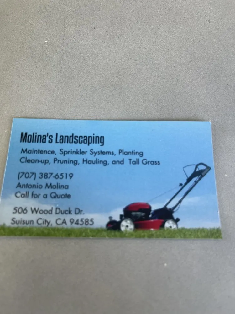 Custom landscaping services in Suisun City, CA by Molina's Landscaping