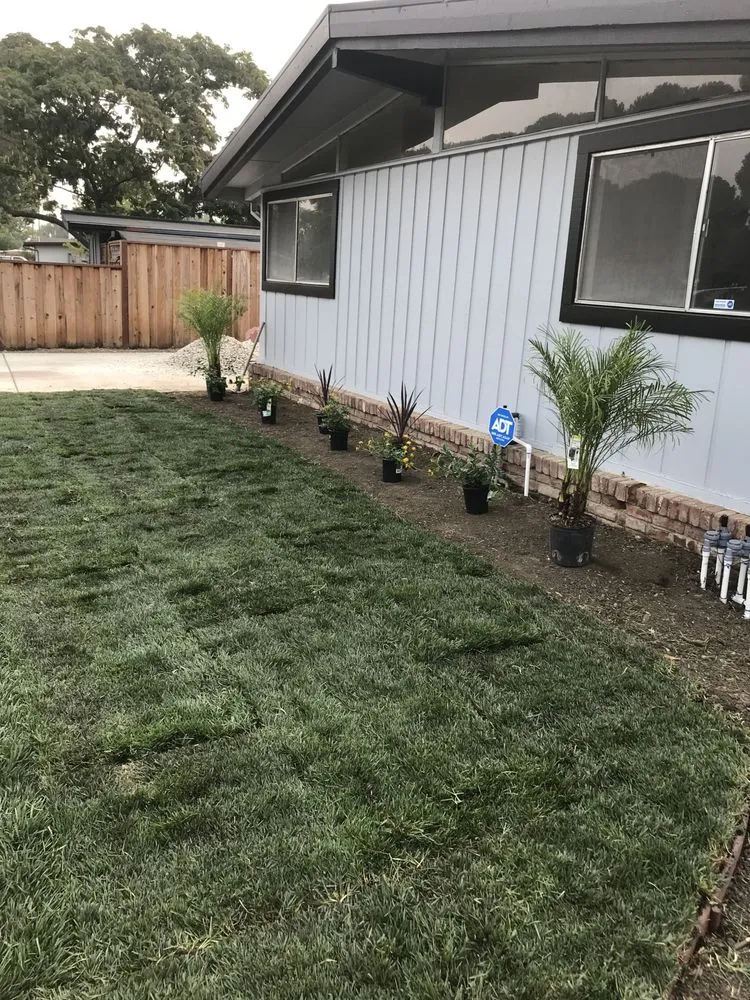 Local garden landscaping in Suisun City, CA - Molina's Landscaping