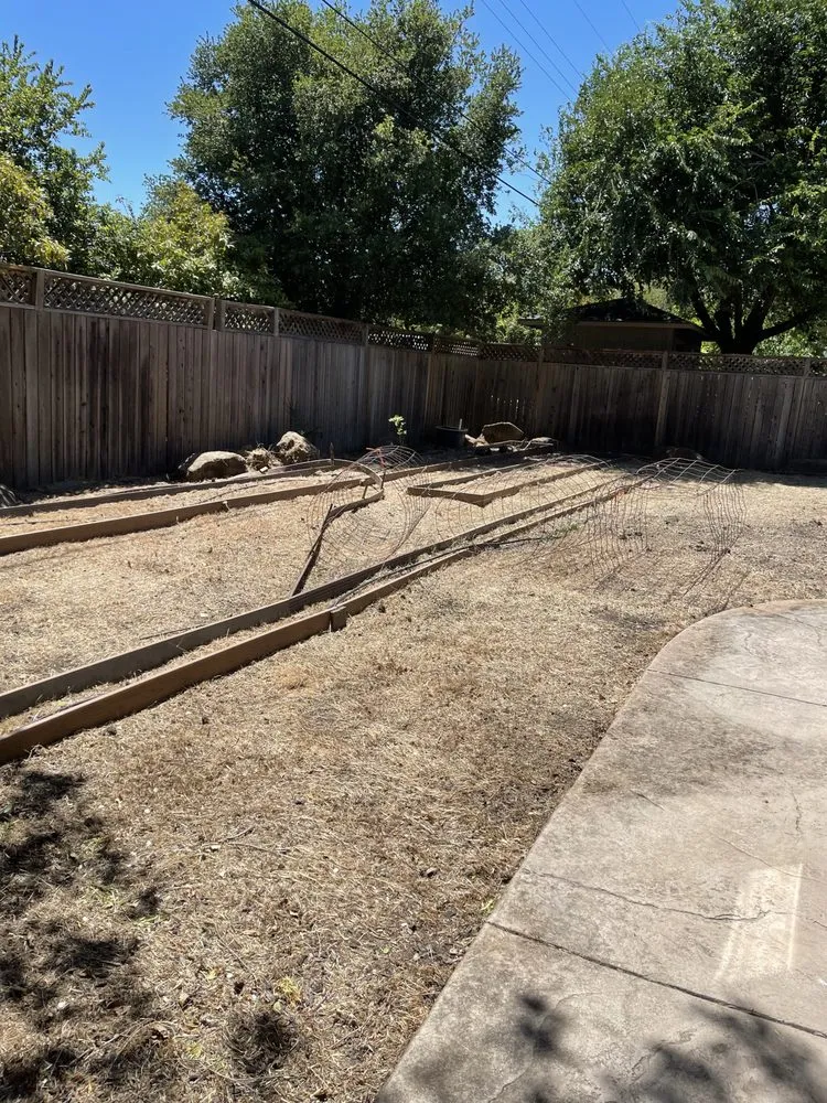 Custom yard cleanup service in Suisun City, CA - Molina's Landscaping