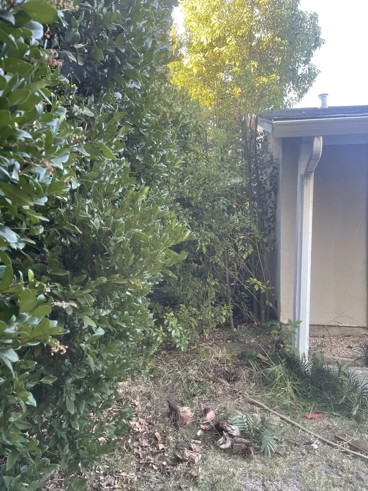 Professional lawn mowing service experts serving Suisun City, CA - Molina's Landscaping