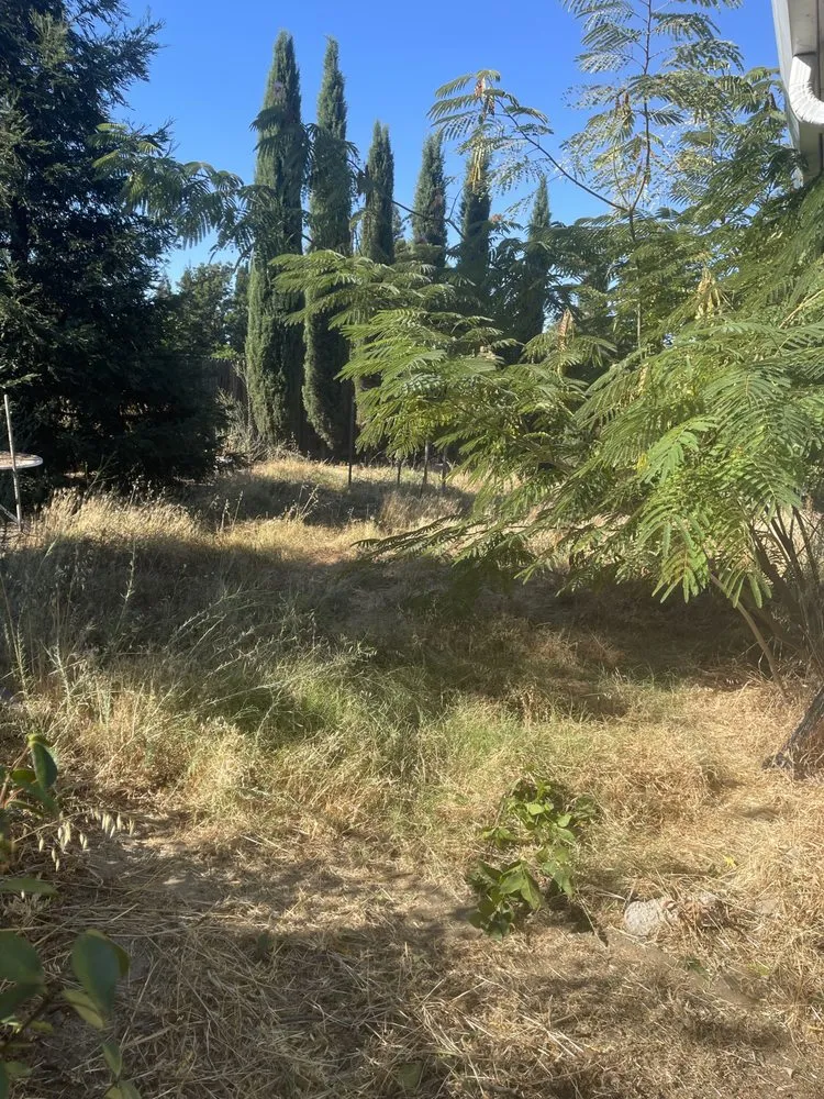 Top-rated lawn care service experts serving Suisun City, CA - Molina's Landscaping