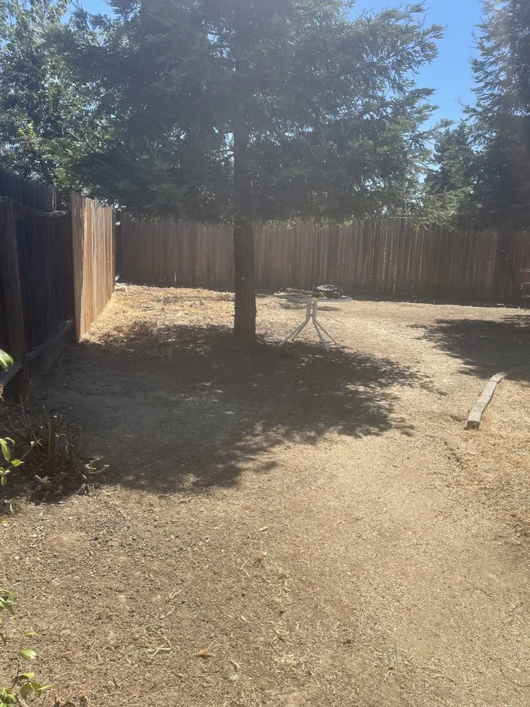 Affordable landscape design for beautiful yards in Suisun City, CA by Molina's Landscaping
