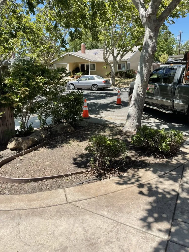 Professional yard maintenance in Suisun City, CA - Molina's Landscaping
