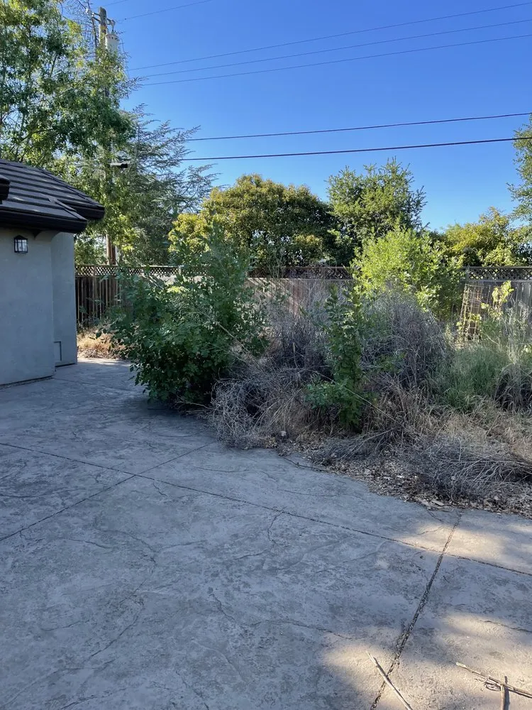 Professional landscape installation for beautiful yards in Suisun City, CA by Molina's Landscaping