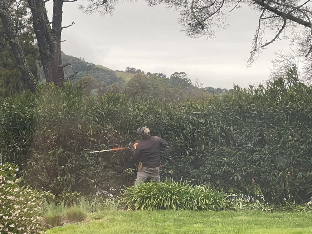 Reliable landscaping services for residential properties across Suisun City, CA - Molina's Landscaping