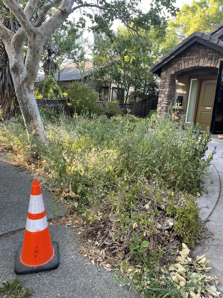 Trusted yard maintenance in Suisun City, CA by Molina's Landscaping