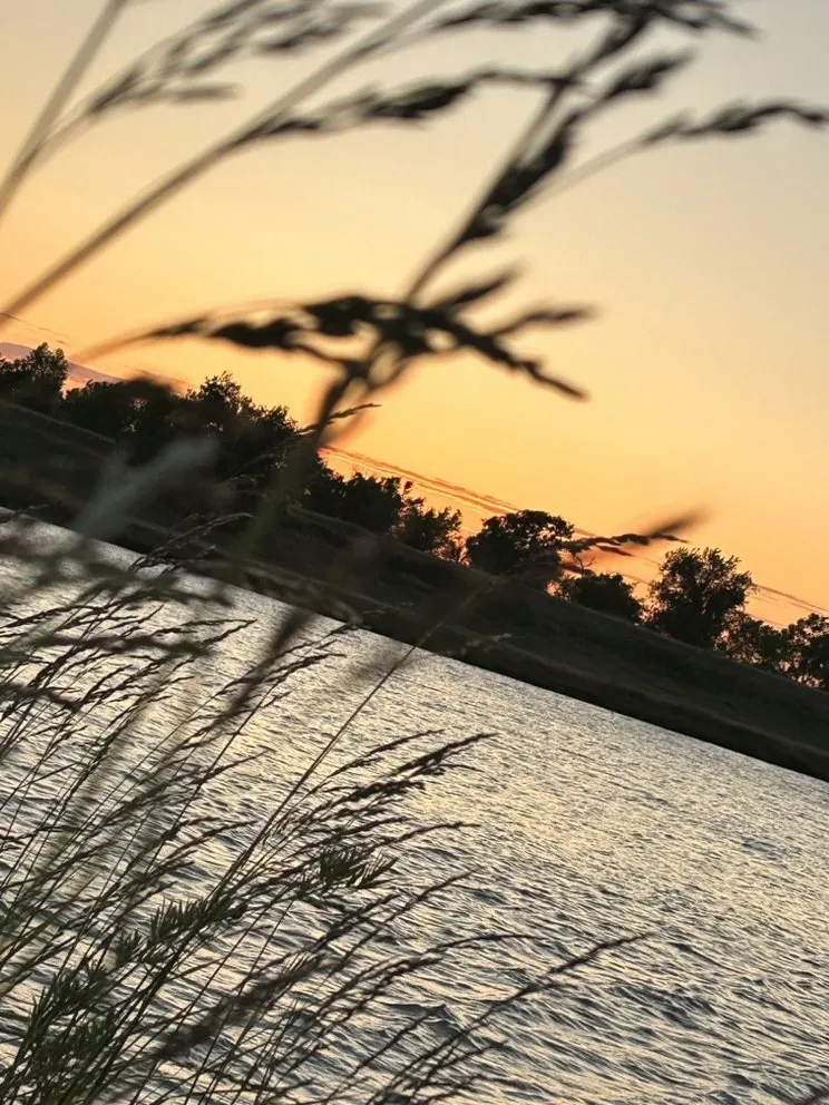 Trusted landscape installation for outdoor upgrades across Sacramento, CA - Molina’s Lawn Service