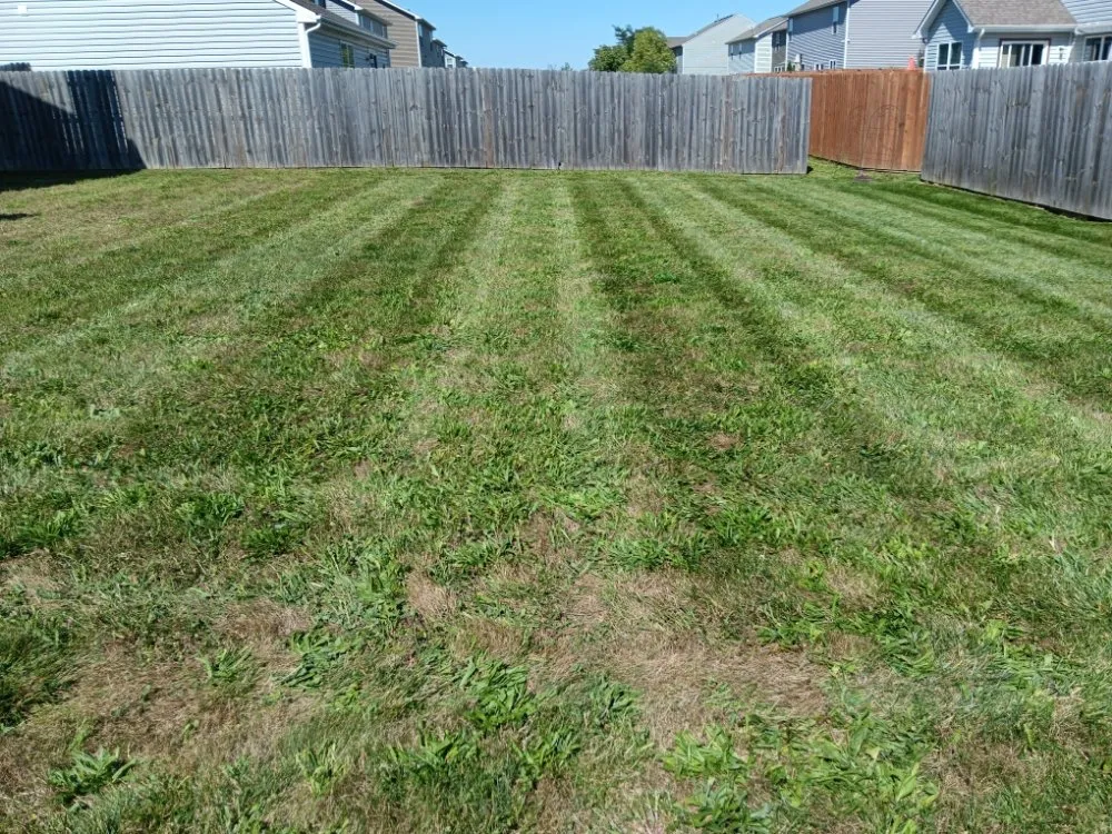 Local yard maintenance in Indianapolis, IN - Molina's Lawn Services