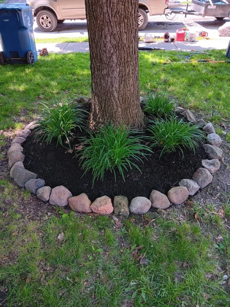 Professional outdoor landscaping for homes across Indianapolis, IN - Molina's Lawn Services