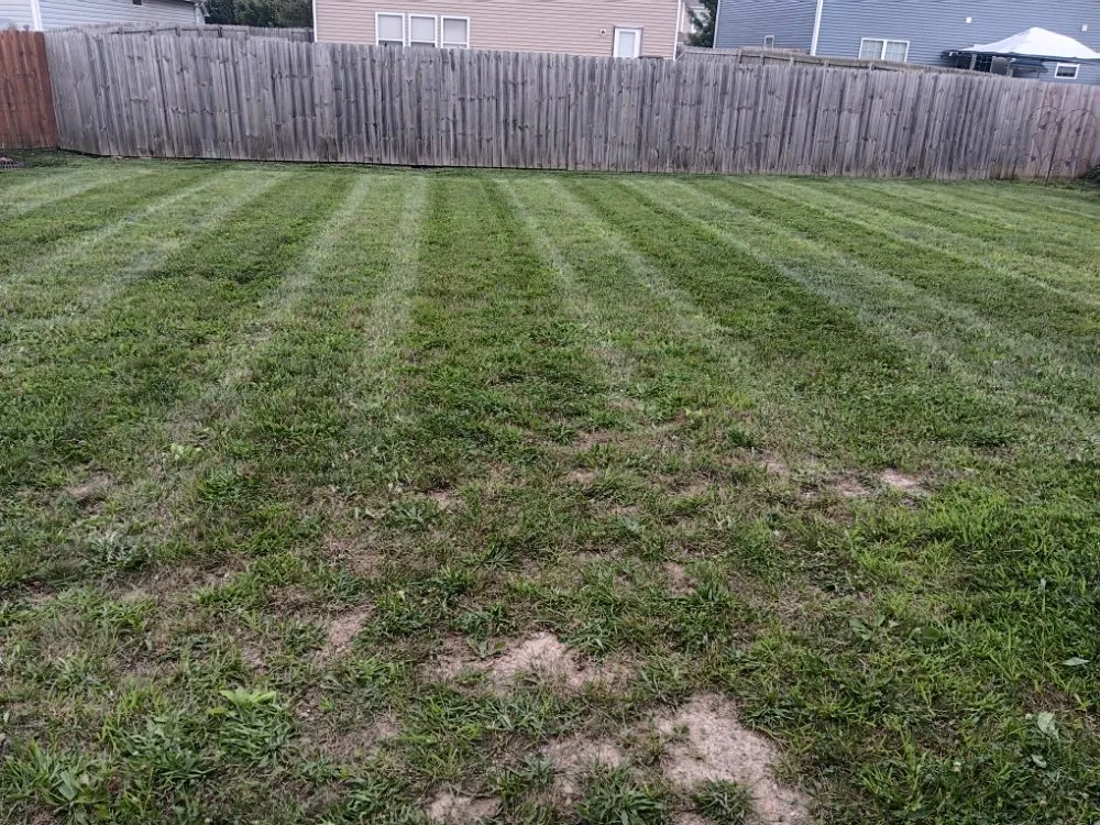 Top-rated landscaping services experts serving Indianapolis, IN - Molina's Lawn Services