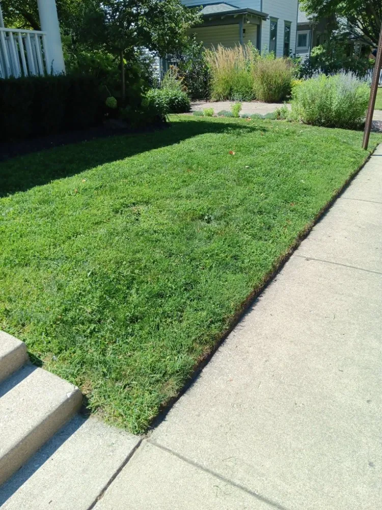Expert yard maintenance for year-round maintenance across Indianapolis, IN - Molina's Lawn Services