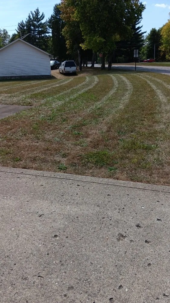 Top-rated yard cleanup service in Indianapolis, IN by Molina's Lawn Services