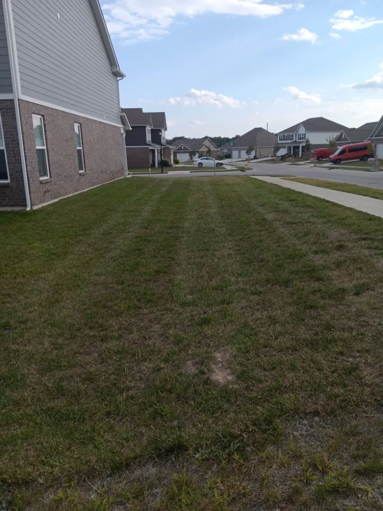 Reliable lawn care service for residential properties across Indianapolis, IN - Molina's Lawn Services
