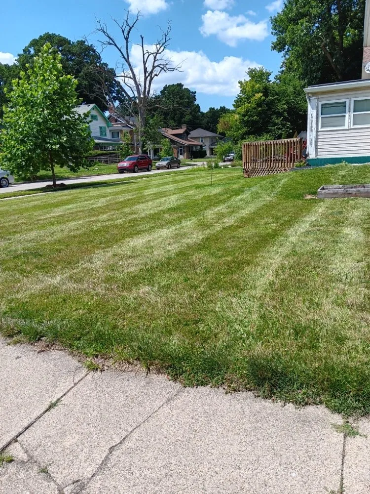 Reliable lawn care service experts serving Indianapolis, IN - Molina's Lawn Services