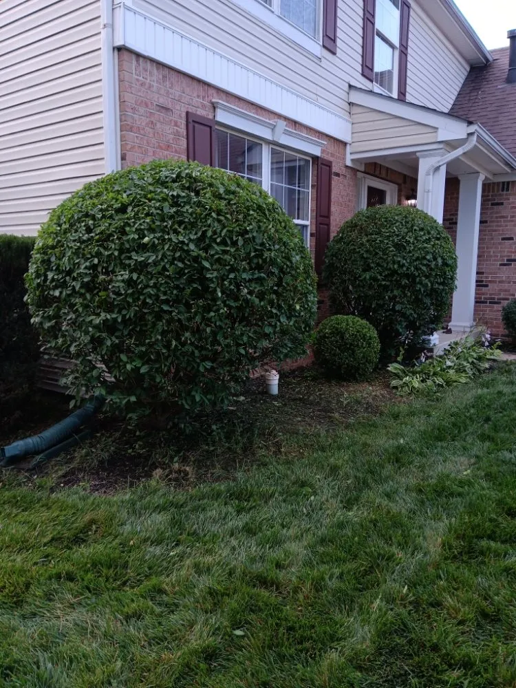 Affordable landscape design in Indianapolis, IN by Molina's Lawn Services