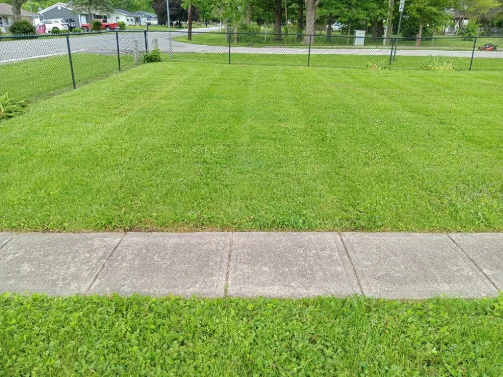 Expert lawn mowing service near you across Indianapolis, IN - Molina's Lawn Services