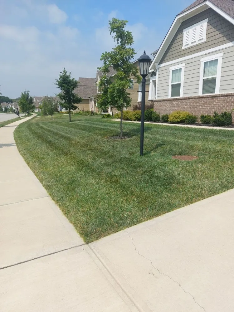 Local outdoor landscaping near you in Indianapolis, IN by Molina's Lawn Services