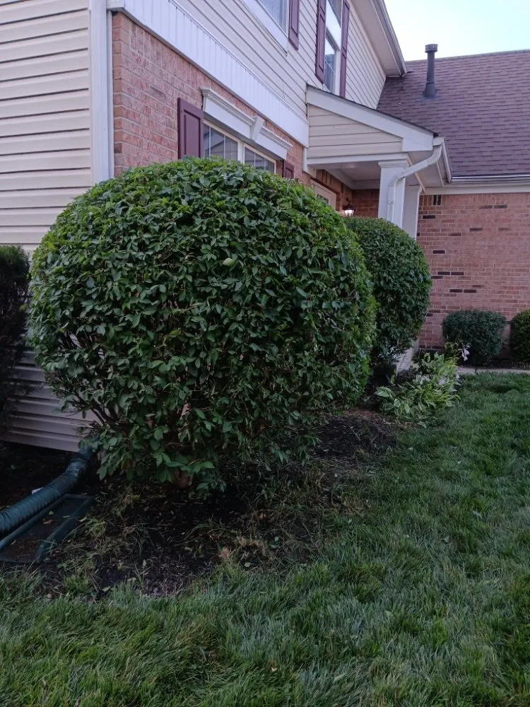 Professional residential landscaping in Indianapolis, IN - Molina's Lawn Services