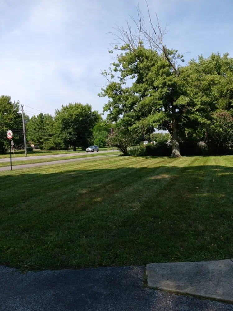 Top-rated lawn care service with custom design in Indianapolis, IN by Molina's Lawn Services