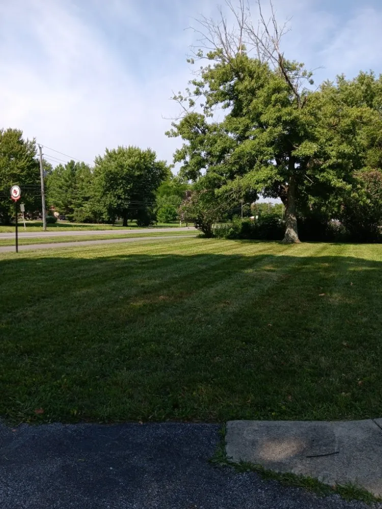 Local outdoor landscaping experts serving Indianapolis, IN - Molina's Lawn Services