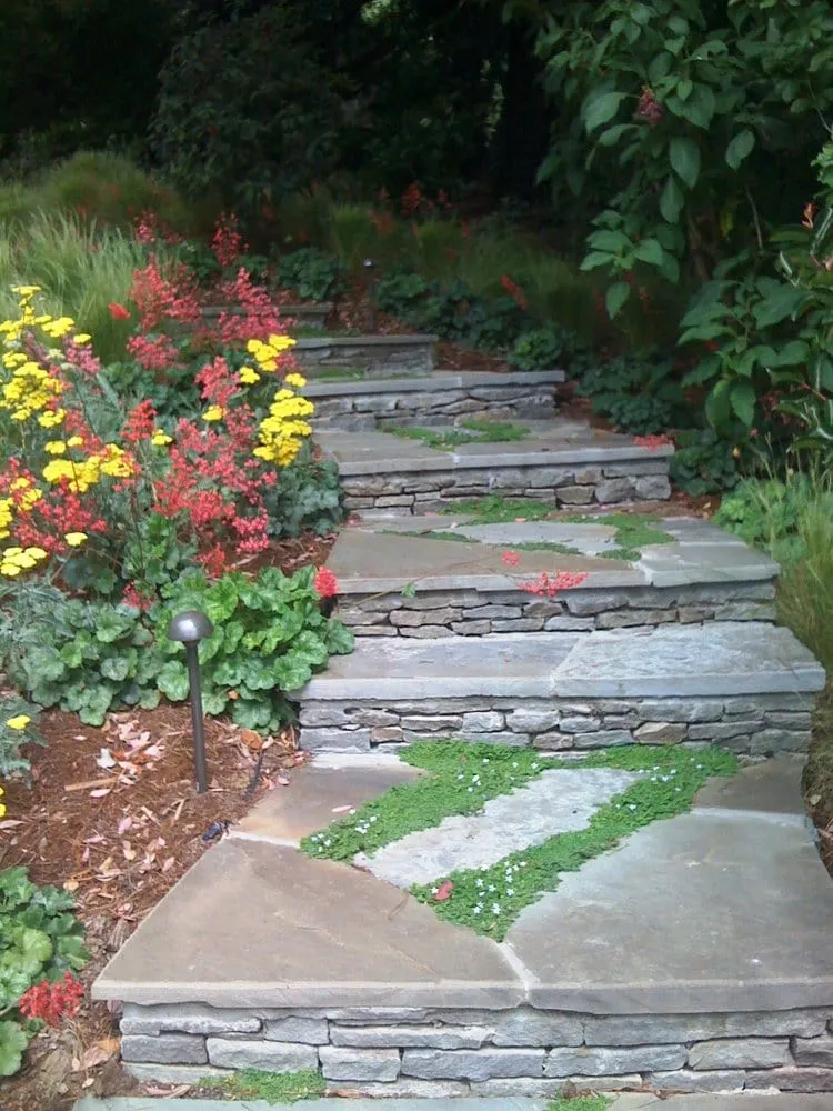 Local lawn care service for residential properties in San Rafael, CA by Moliver Landscape