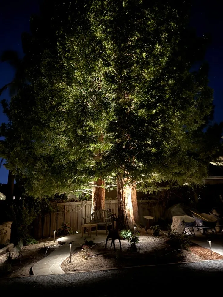 Trusted yard maintenance for outdoor upgrades in San Rafael, CA by Moliver Landscape