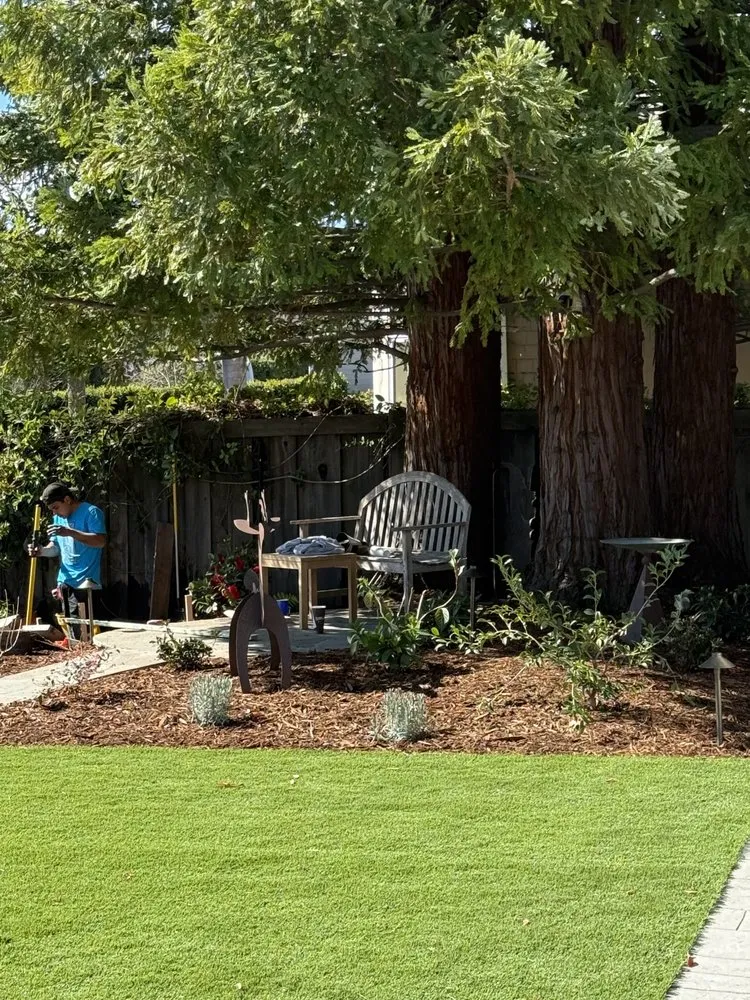 Expert yard cleanup service experts serving San Rafael, CA - Moliver Landscape