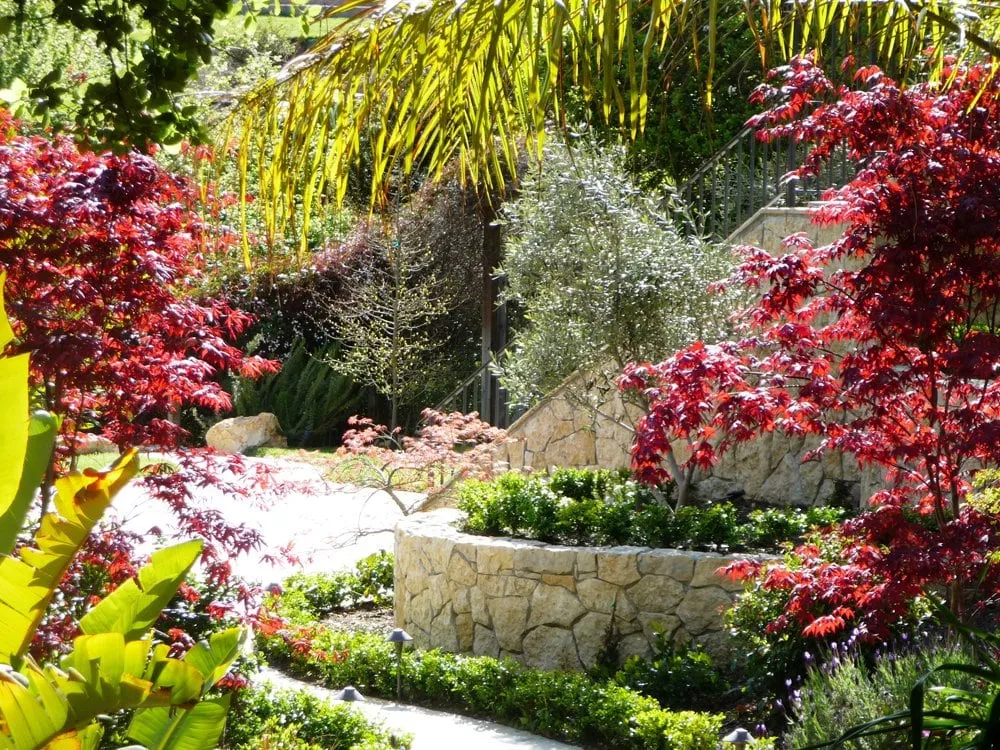 Trusted garden landscaping for residential properties across San Rafael, CA - Moliver Landscape