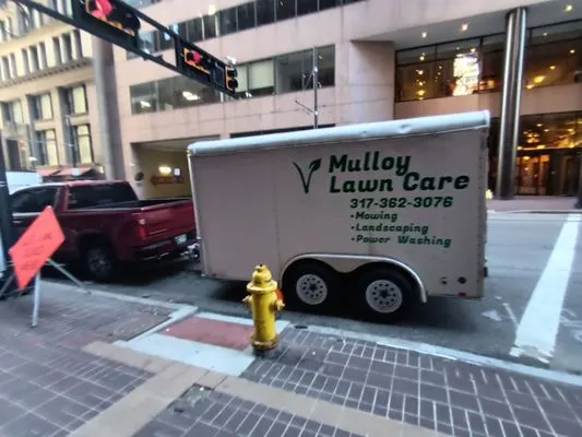 Molloy Landscaping