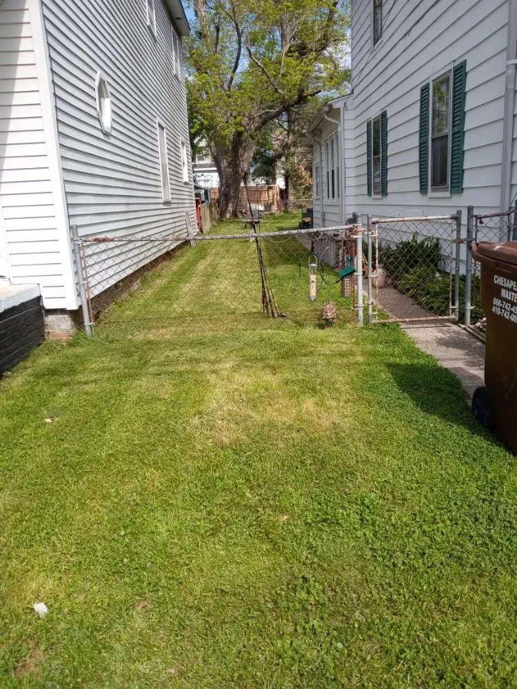 Local lawn mowing service in Cambridge, MD - Molock and Sons Lawn Care