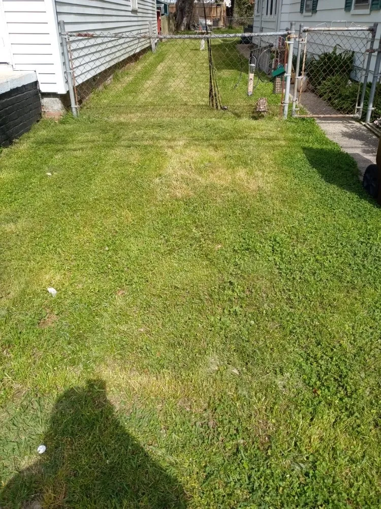 Affordable landscape installation experts serving Cambridge, MD - Molock and Sons Lawn Care