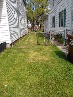 Molock and Sons Lawn Care Logo