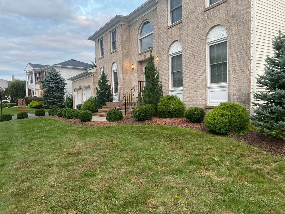 Professional yard cleanup service experts serving Sayreville, NJ - Molteg Landscaping and Design