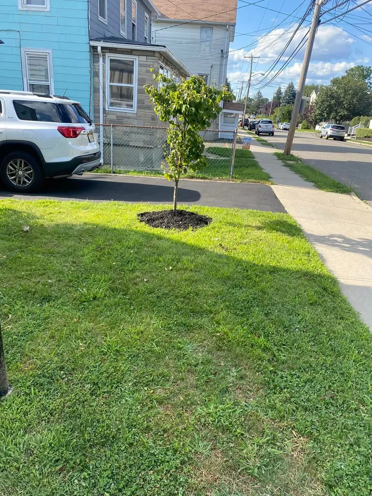 Professional yard cleanup service in Sayreville, NJ - Molteg Landscaping and Design