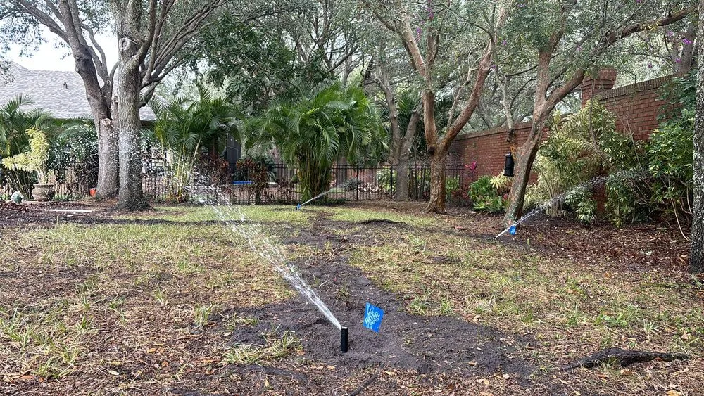 Expert yard maintenance in Orlando, FL - Moltiva’s Tree Remover & Landscaping Services