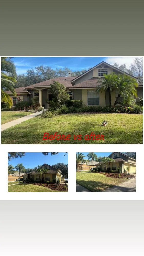 Trusted garden landscaping in Orlando, FL by Moltiva’s Tree Remover & Landscaping Services