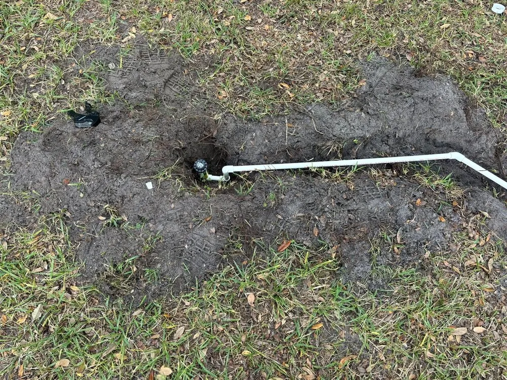 Local landscaping services for residential properties across Orlando, FL - Moltiva’s Tree Remover & Landscaping Services