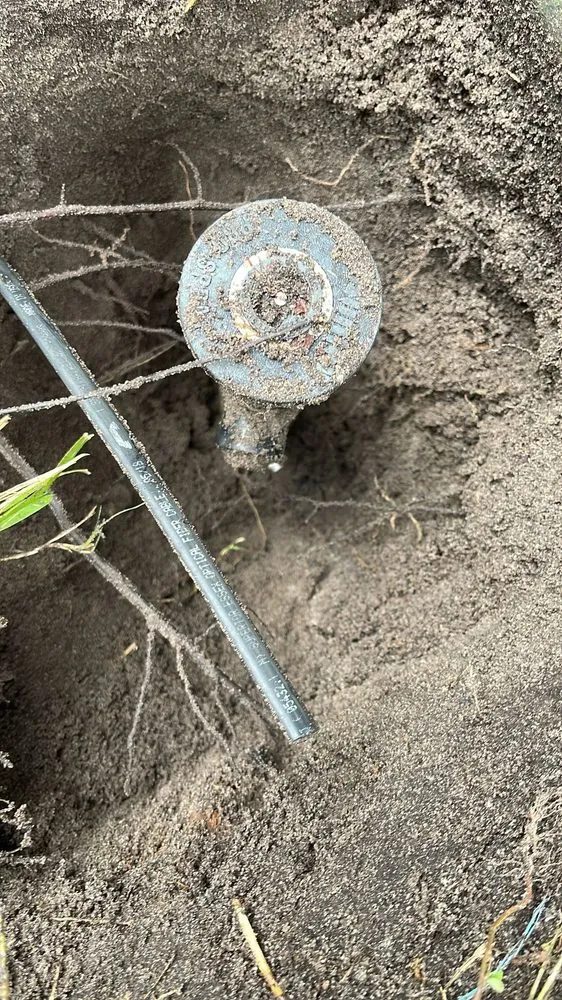 Reliable lawn care service for residential properties across Orlando, FL - Moltiva’s Tree Remover & Landscaping Services