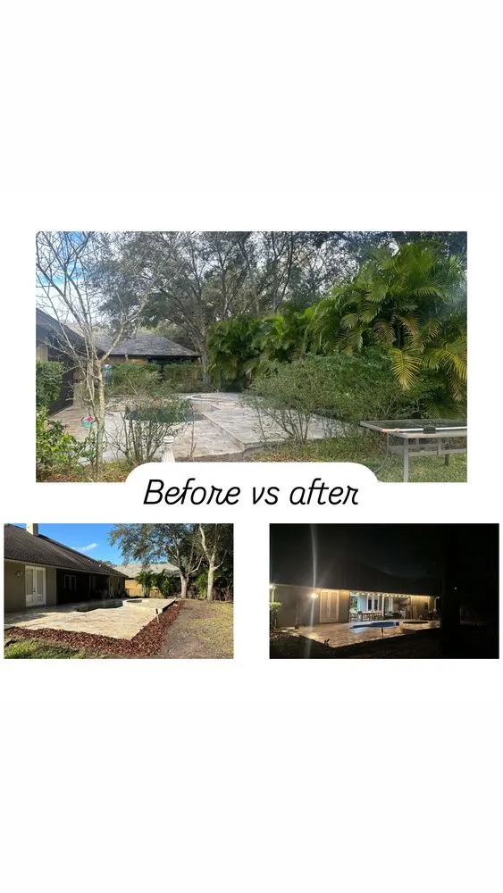 Reliable yard maintenance experts serving Orlando, FL - Moltiva’s Tree Remover & Landscaping Services