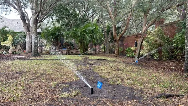 Moltiva’s Tree Remover & Landscaping Services Logo