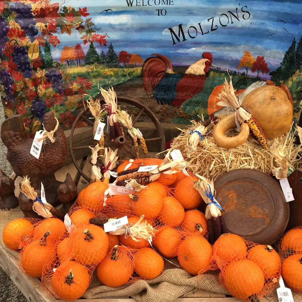 Trusted outdoor landscaping experts serving Lincroft, NJ - Molzon Landscape Nursery