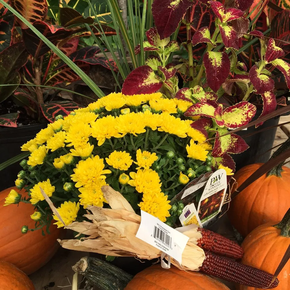 Reliable residential landscaping in Lincroft, NJ by Molzon Landscape Nursery