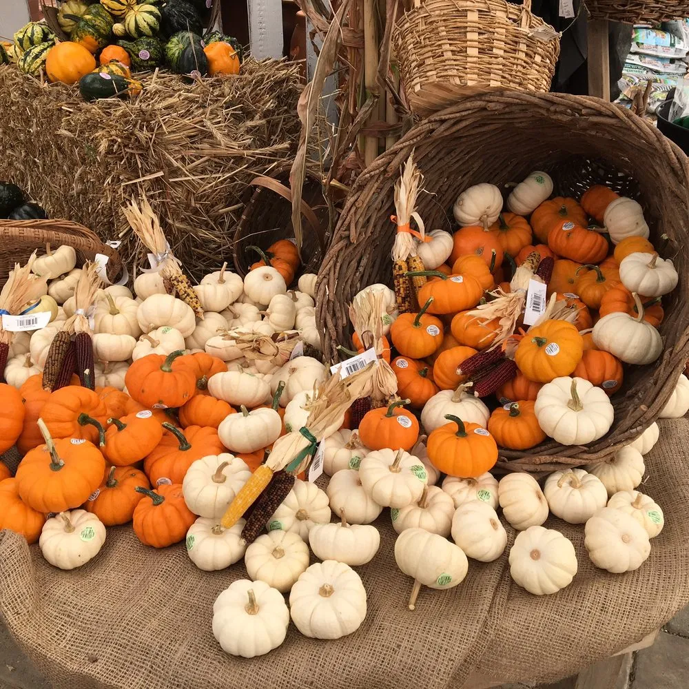 Custom outdoor landscaping in Lincroft, NJ - Molzon Landscape Nursery