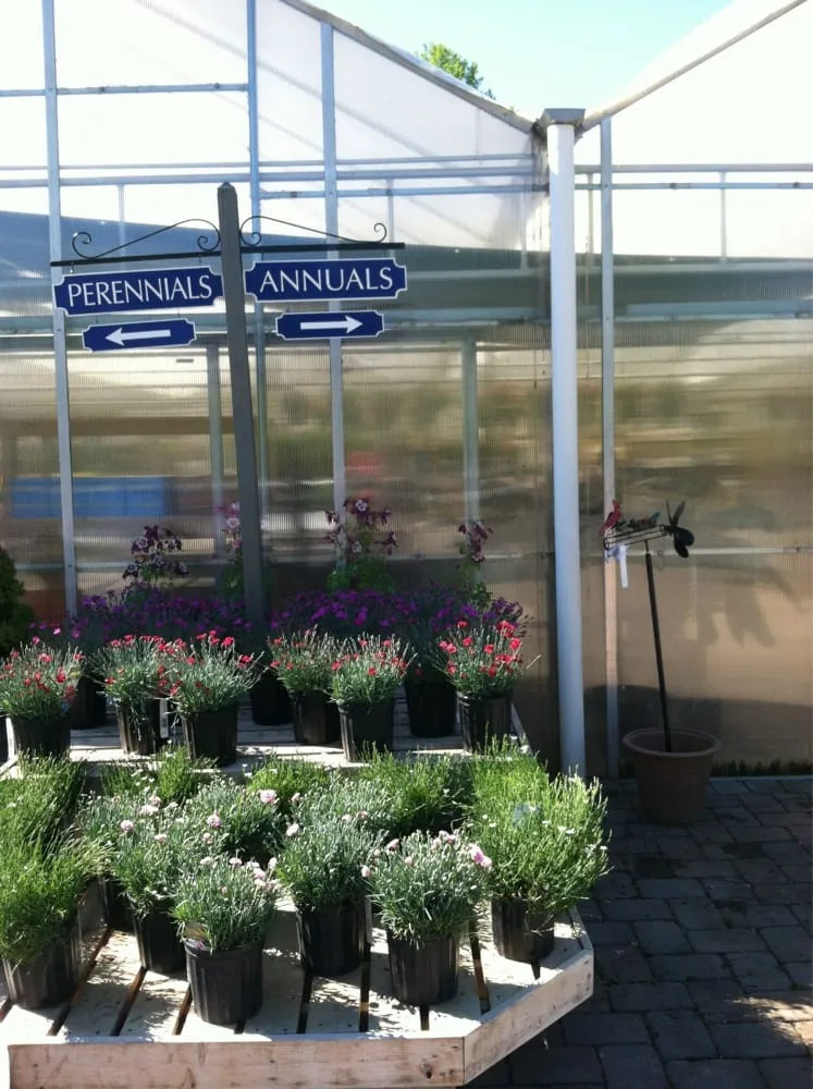 Reliable yard maintenance near you in Lincroft, NJ by Molzon Landscape Nursery